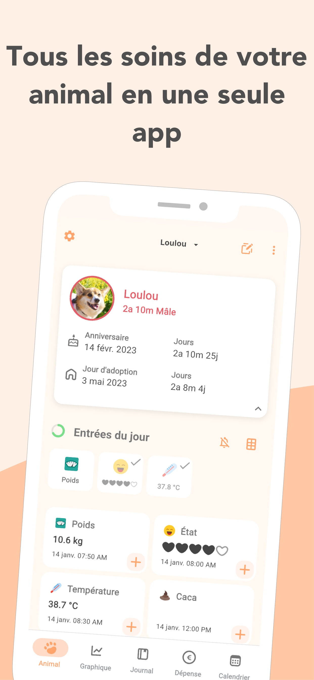 Tableau de bord PetnotePlus affichant le profil d'un chien et les entrées du jour pour le poids, la température et l'état