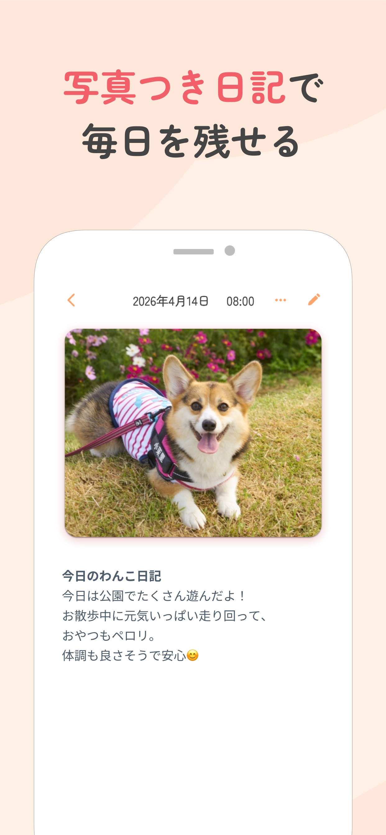 写真つきのペット日記。その日の出来事のメモ