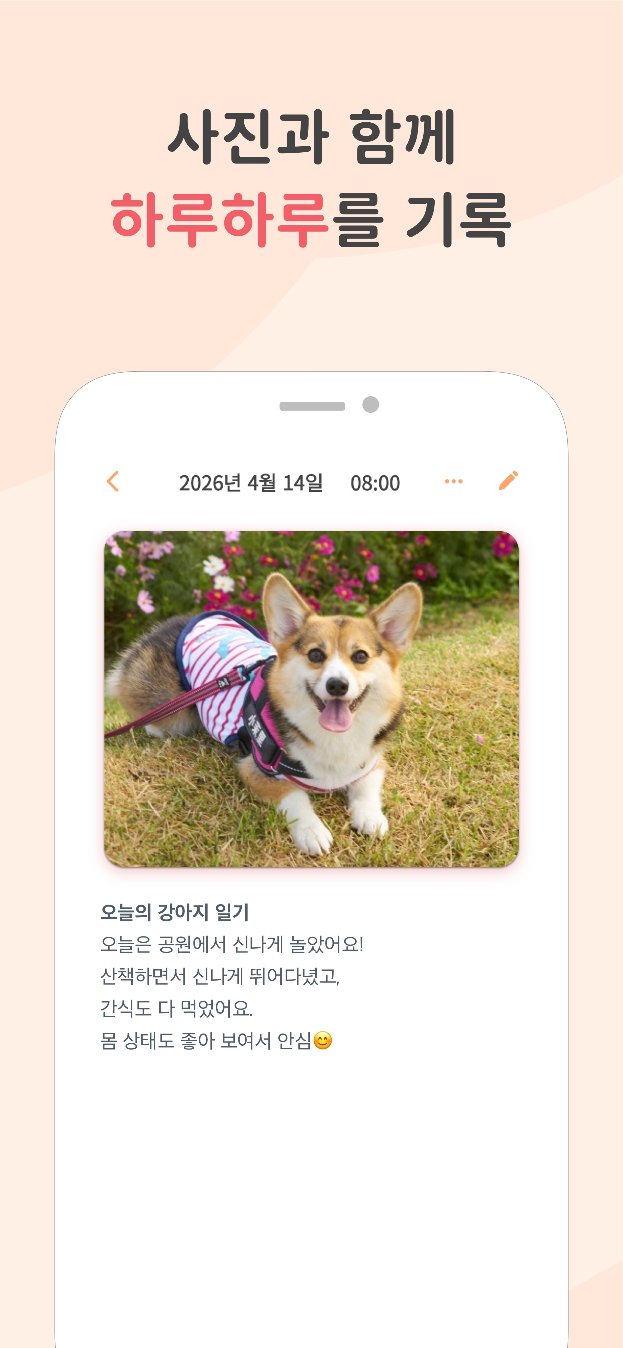 그날의 이야기를 담은 사진 반려동물 다이어리 기록